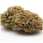 Шишки AK47  (Гидропоника, Бошка) VHQ в Хабаровске